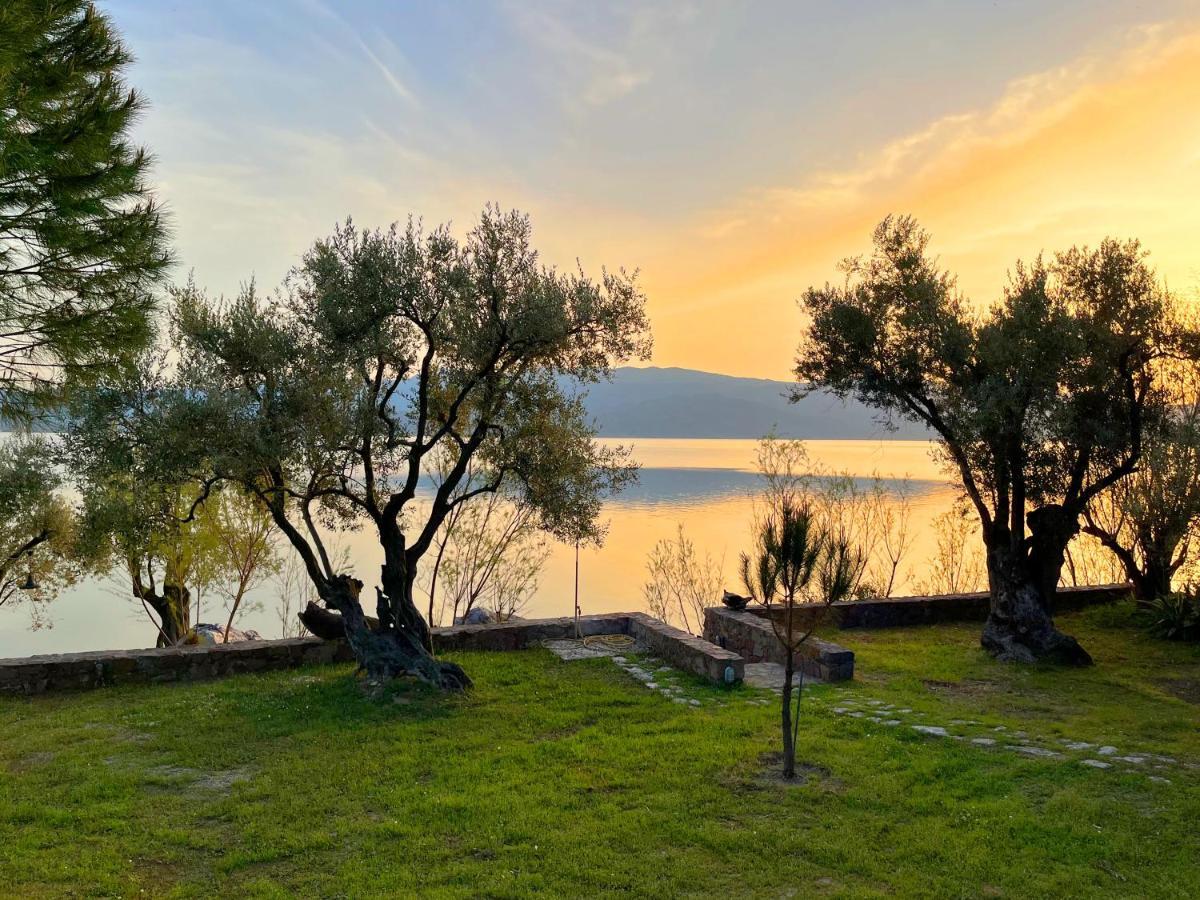 Seafront Traditional Stone House In Sunset Olive Grove - B Villa Alyfanta Exterior foto