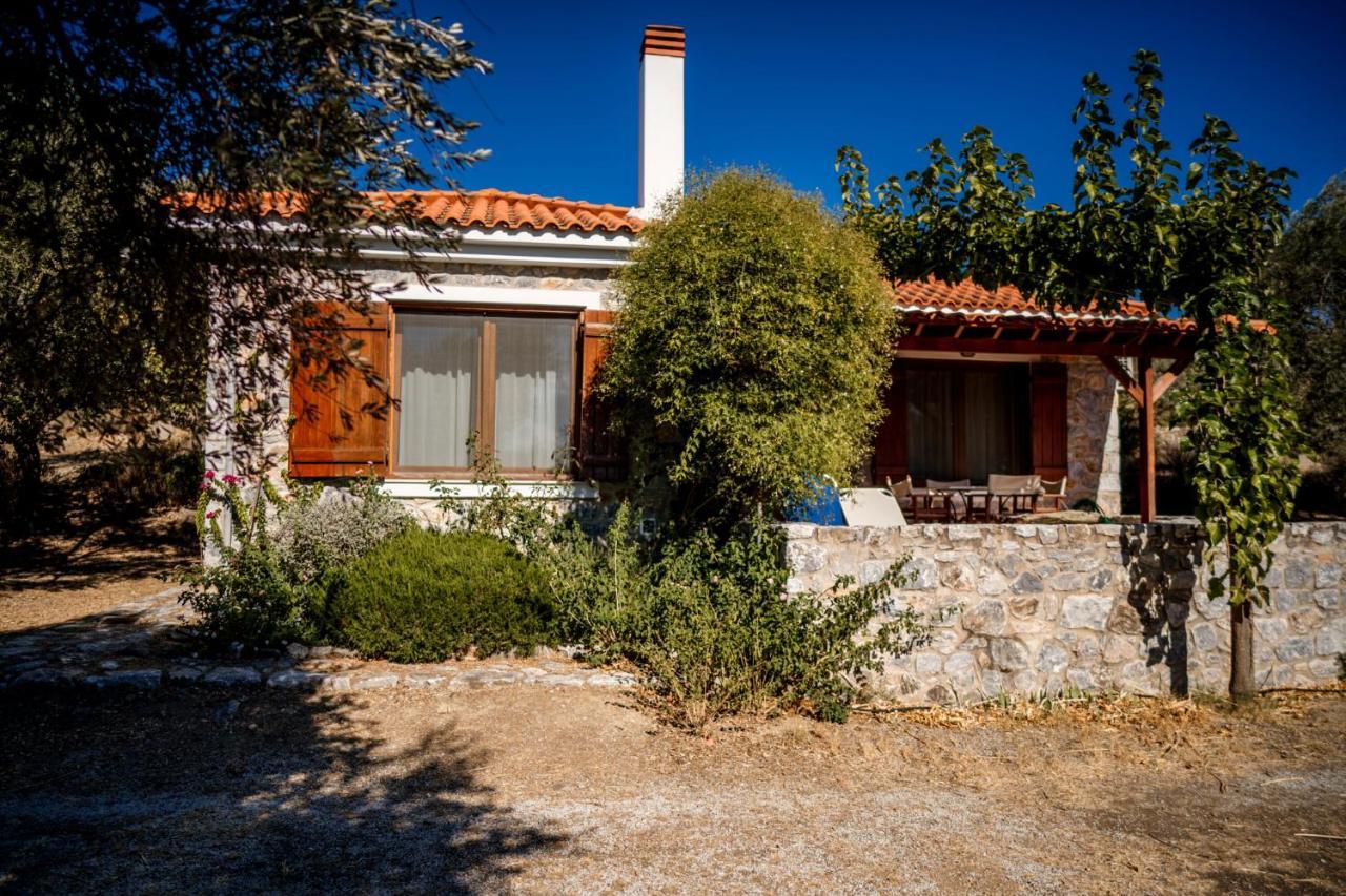 Seafront Traditional Stone House In Sunset Olive Grove - B Villa Alyfanta Exterior foto