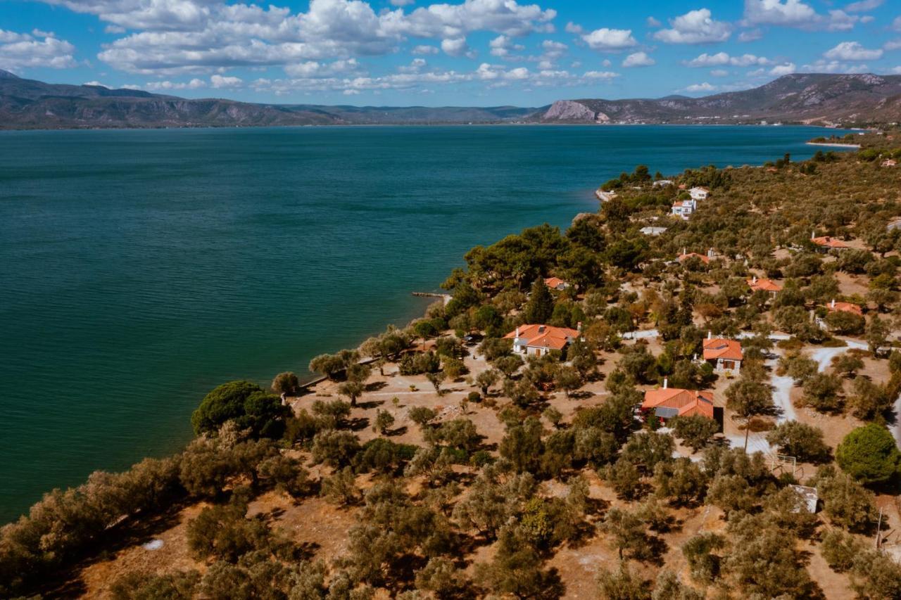 Seafront Traditional Stone House In Sunset Olive Grove - B Villa Alyfanta Exterior foto